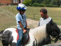 Schullandheim Ponys