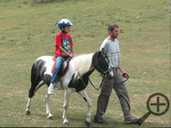 Sommerland Ponykoppel