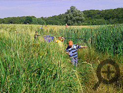 Insektenjagd